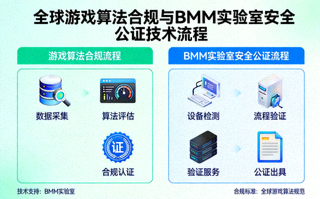 全球游戏算法合规与BMM实验室安全公证技术流程